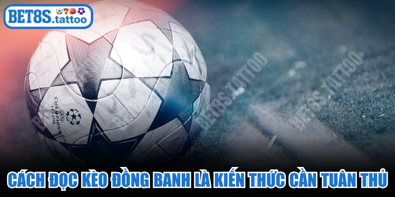Cách đọc kèo đồng banh là kiến thức nền tảng cần tuân thủ