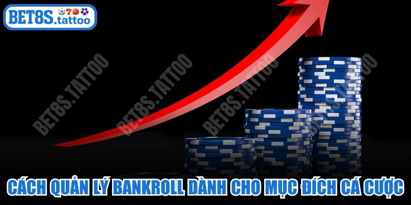 Cách quản lý Bankroll chi tiết dành riêng cho mục đích cá cược
