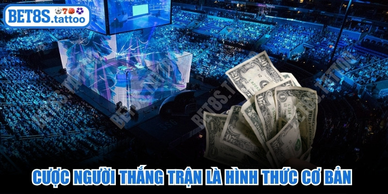 Cược người thắng trận là hình thức cơ bản đem lại tỷ lệ thắng tốt