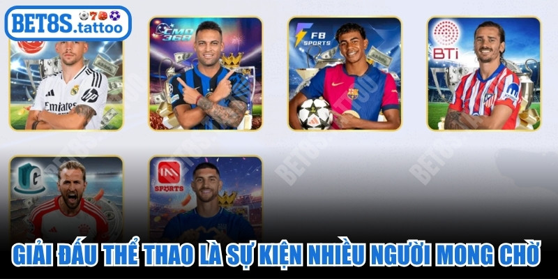 Các giải đấu thể thao là một trong những sự kiện được nhiều người mong chờ nhất