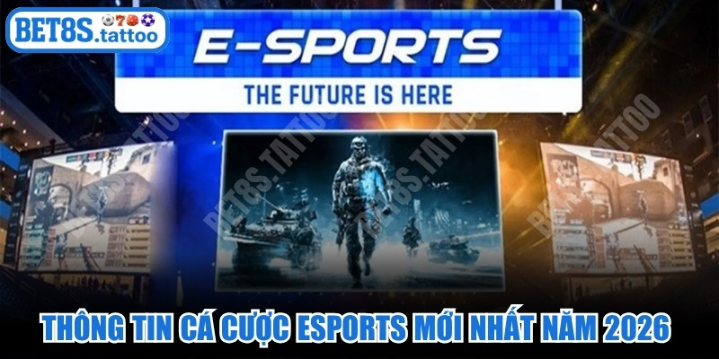 Thông tin cá cược esports mới nhất năm 2026 về mọi dữ liệu